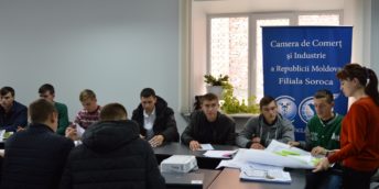Instruiri pentru viitorii antreprenori