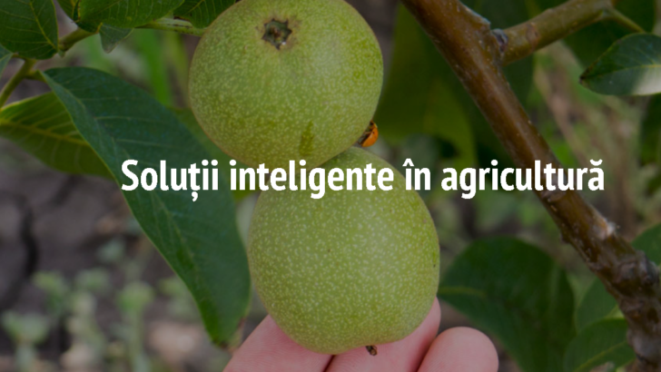 Povestea de succes a membrului CCI a RM ”AMG Kernel” SRL- cel mai mare producător de nuci din Europa