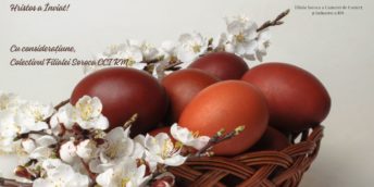 Felicitare de paște!