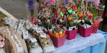 Expo-Tărgul “UN GÂND FRUMOS PENTRU VOI, STIMATE DOAMNE” la cea de-a V-a ediție